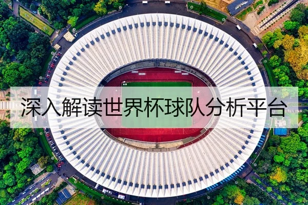 深入解读世界杯球队分析平台