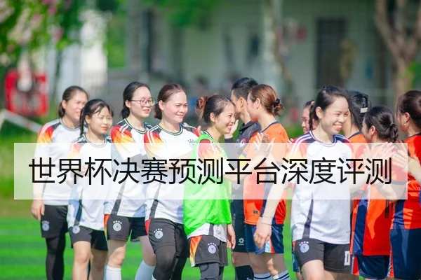 世界杯决赛预测平台深度评测