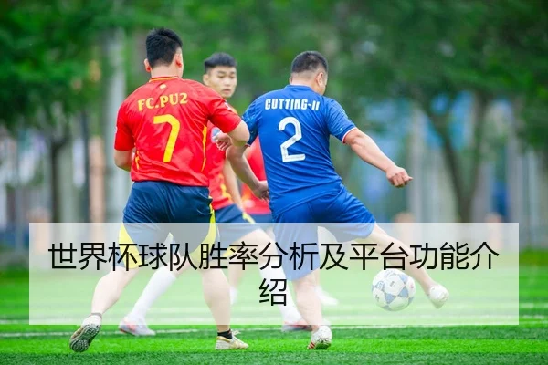 世界杯球队胜率分析及平台功能介绍