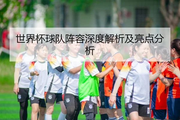 世界杯球队阵容深度解析及亮点分析