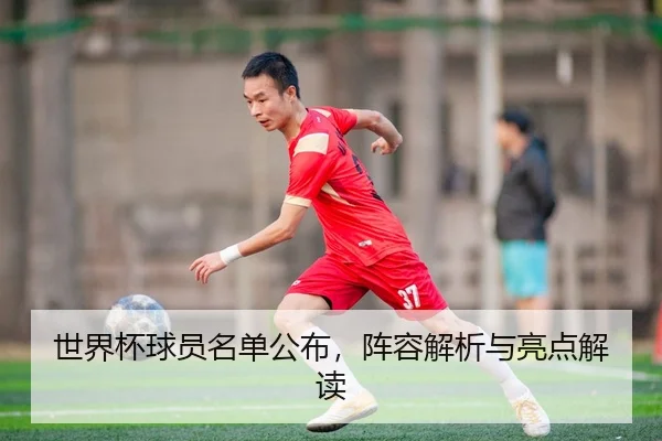 世界杯球员名单公布，阵容解析与亮点解读