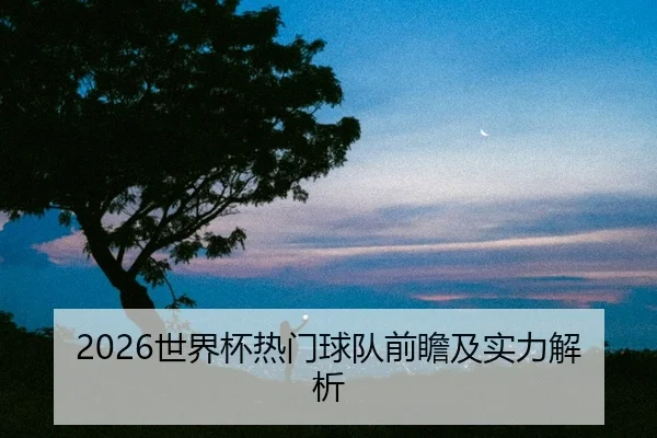 2026世界杯热门球队前瞻及实力解析